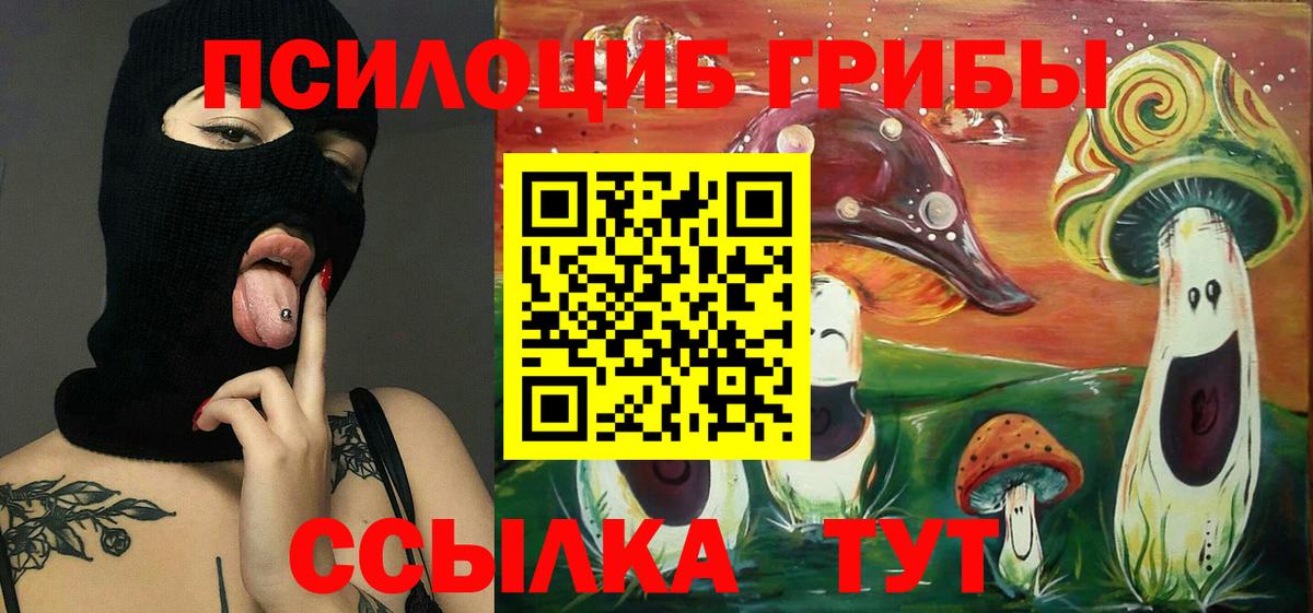 Галлюциногенные грибы Psilocybe Черногорск