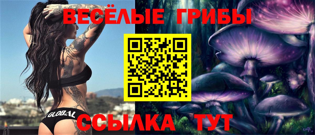 Черногорск  Галлюциногенные грибы мухоморы  Вход с VPN 